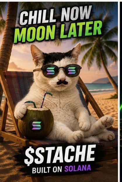 Stache Cat on the beach: chill now, moon later